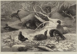 De Maanden, Januari